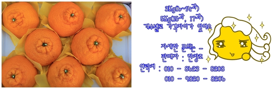 하나봉(게시용4).jpg