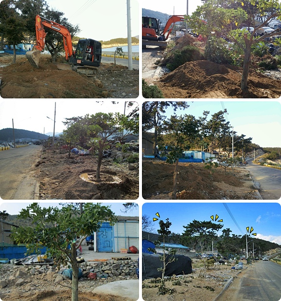 명천마을 해안방풍림 조성.jpg