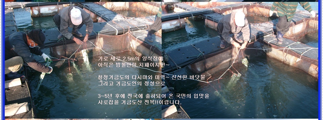 20111114우두 치패입식_002.jpg