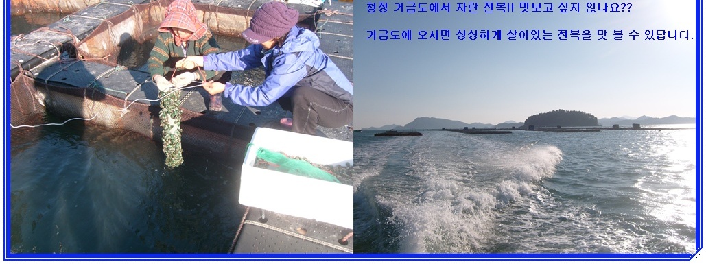 20111114우두 치패입식_003.jpg