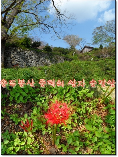 송광암 사진.jpg