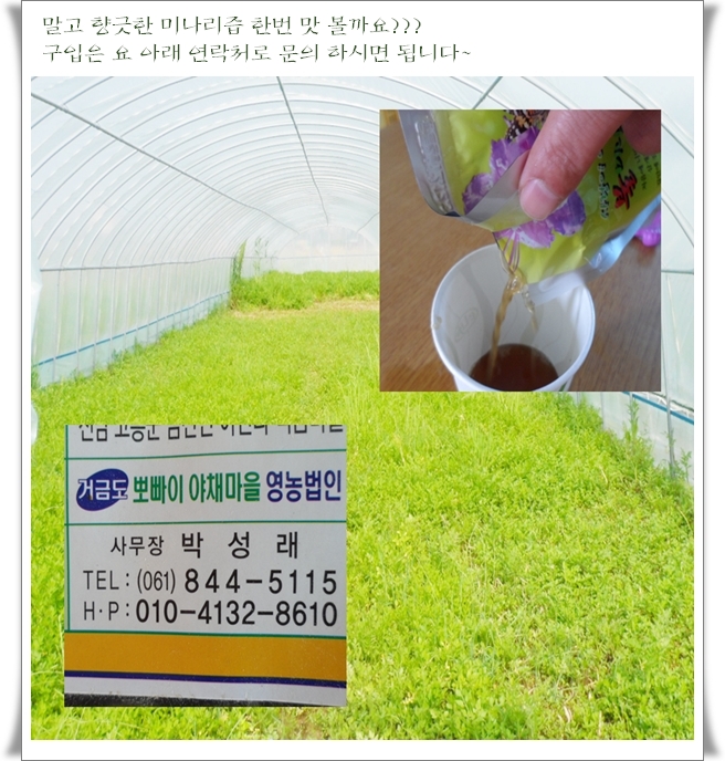 미나리4.jpg