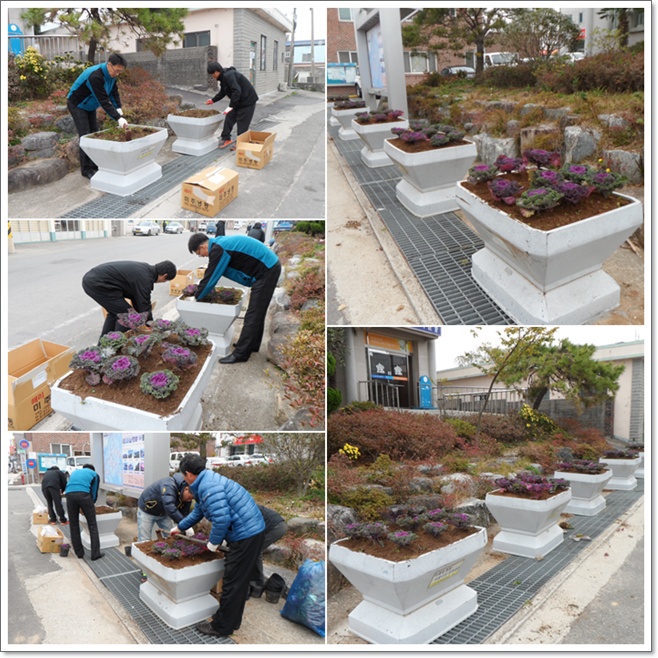 꽃배추식재(게시용).jpg