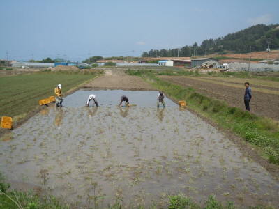 크기변환_DSCN2986.JPG