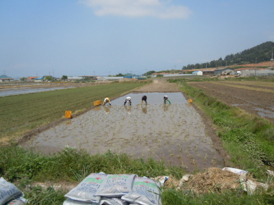 크기변환_DSCN2980.JPG
