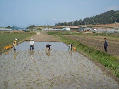 크기변환_DSCN2985.JPG