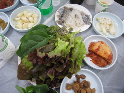 크기변환_IMG_4741.JPG