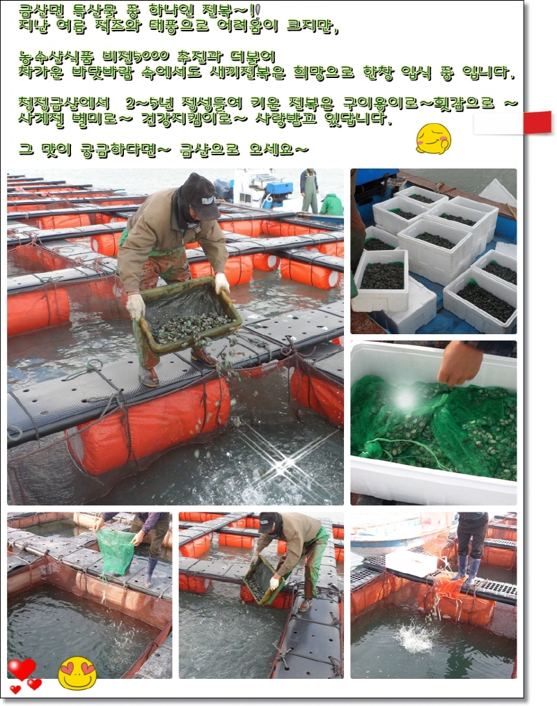 크기변환_전복입식.jpg