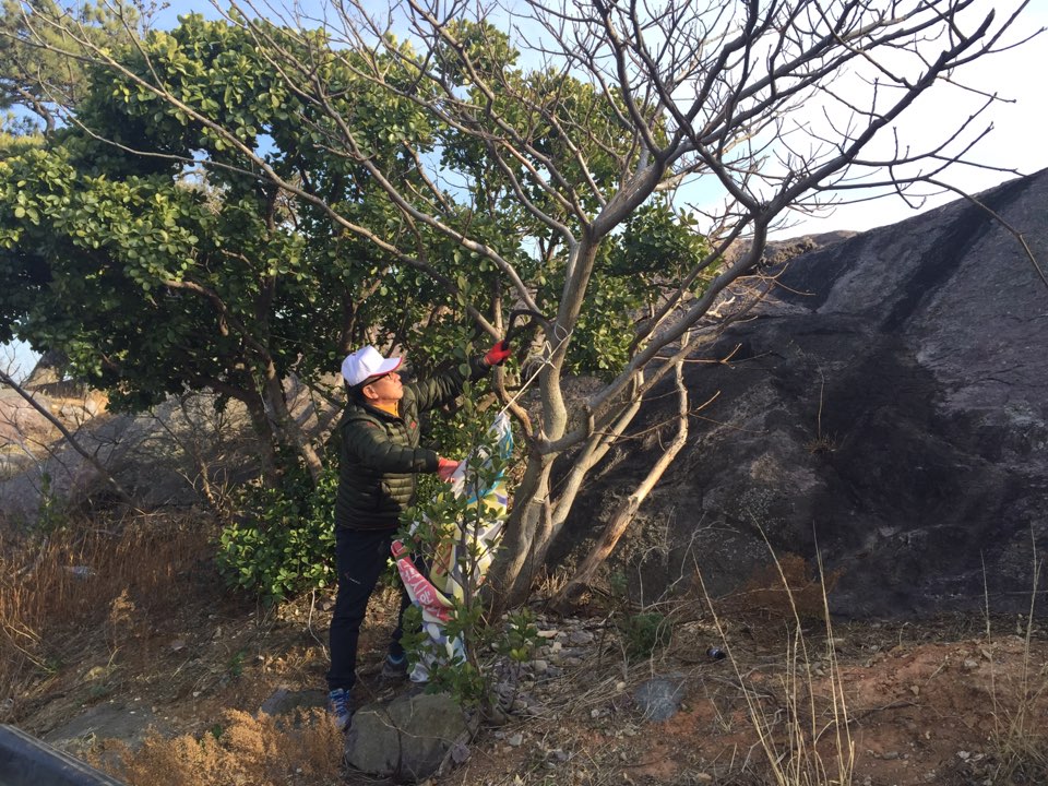오천항(20150206) 4.jpg