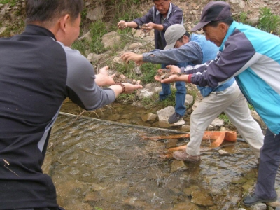 크기변환_홍연 참게 방류.JPG