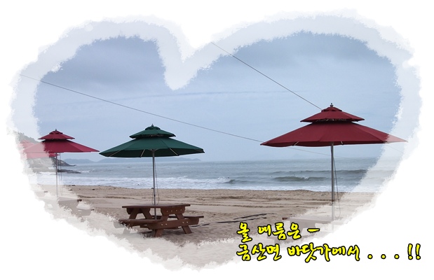 익금해수욕장 개장 2.JPG