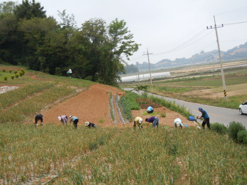 크기변환_DSCN3114.JPG