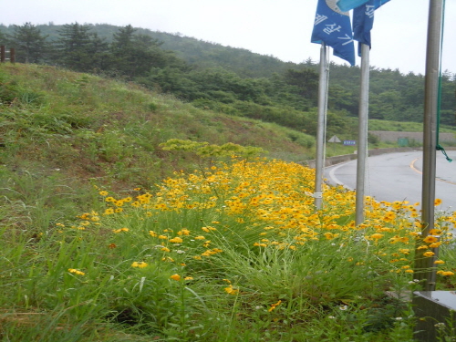 크기변환_회전_DSCN3279.JPG