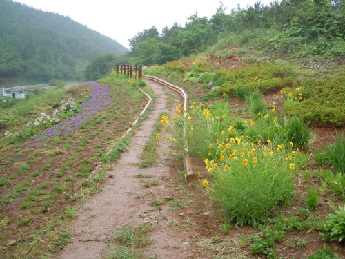 크기변환_DSCN3278.JPG