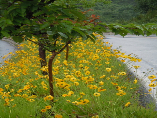 크기변환_회전_DSCN3280.JPG