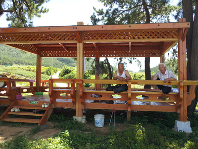 20120803_123956.jpg