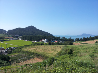 20120804_091925.jpg