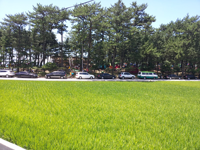 20120803_123818.jpg