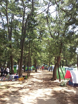 20120804_124547.jpg