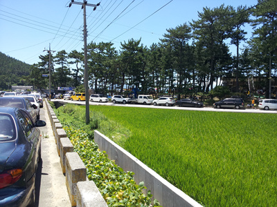20120803_123811.jpg