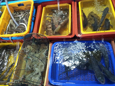 20120804_141317.jpg