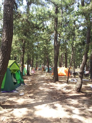 20120804_124539.jpg