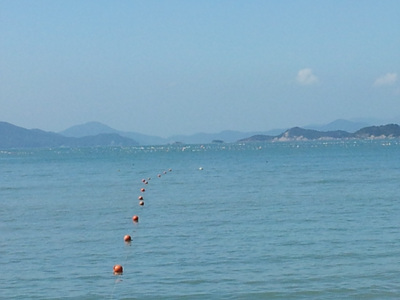 20120804_095955.jpg