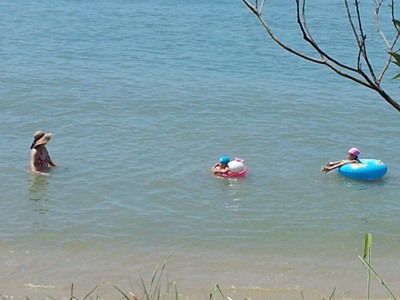 20120804_112552.jpg