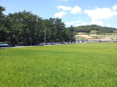 20120803_123823.jpg