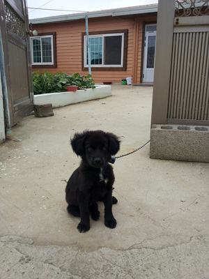 20120704_17.jpg