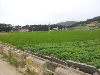 20120704_06.jpg