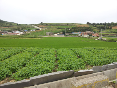 20120704_08.jpg