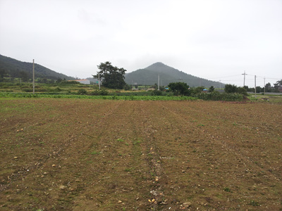 20120704_03.jpg