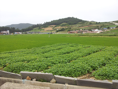 20120704_07.jpg
