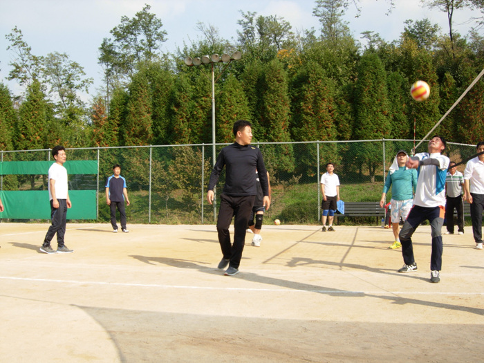 DSCN6790.jpg