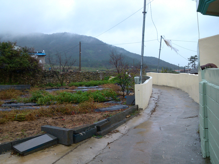 IMG_20120916_102155.jpg