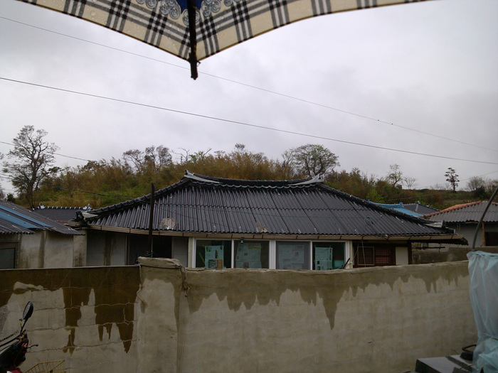 IMG_20120916_102421.jpg