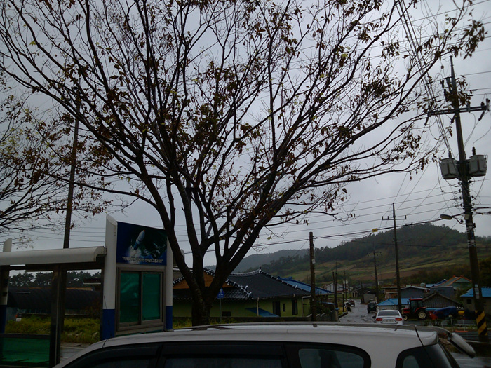 IMG_20120916_101546.jpg