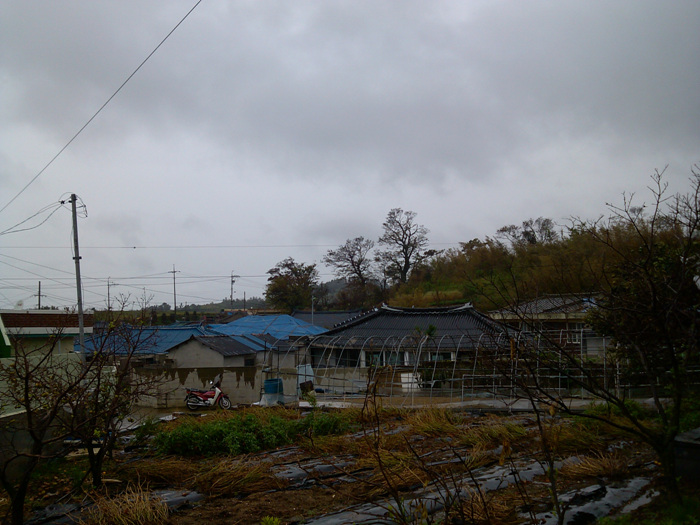 IMG_20120916_102348.jpg
