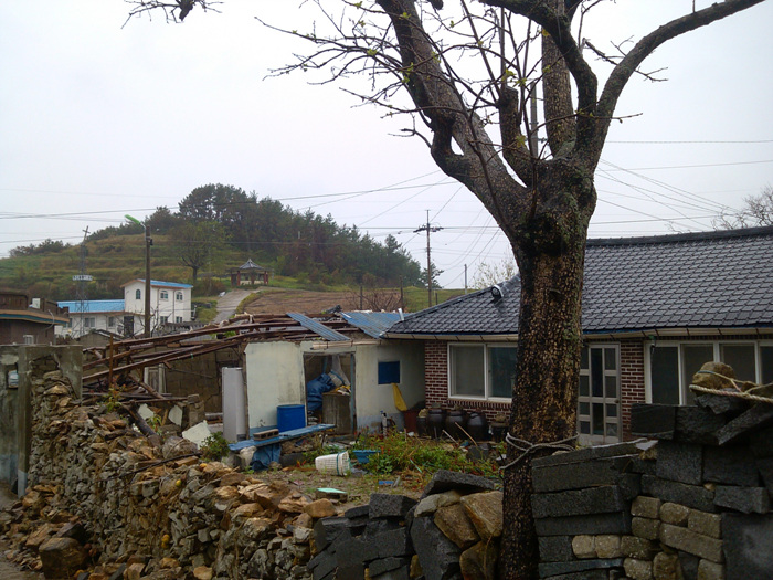 IMG_20120916_095012.jpg