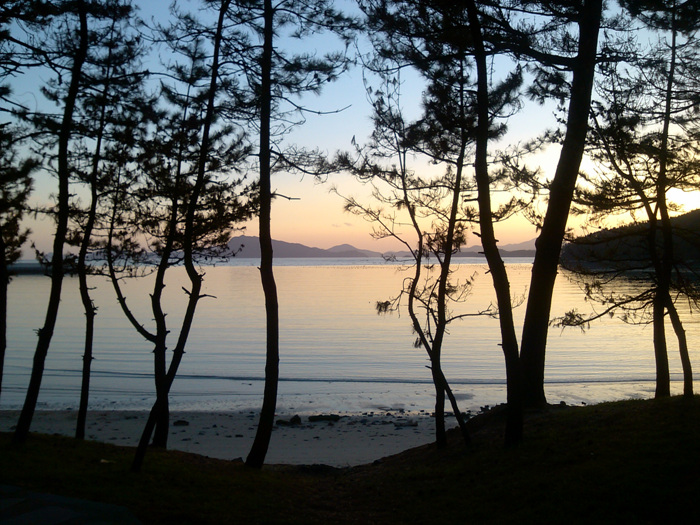 IMG_20121127_165842.jpg