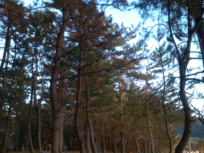 IMG_20121127_165943.jpg
