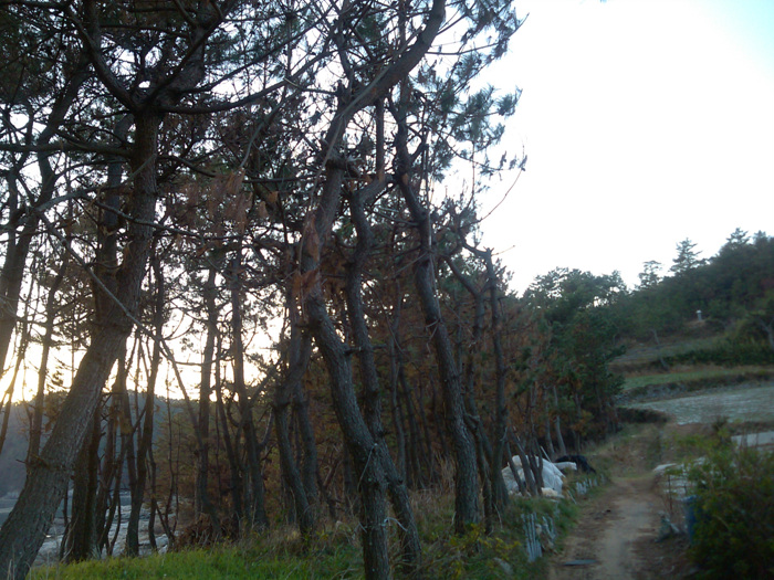 IMG_20121127_165814.jpg