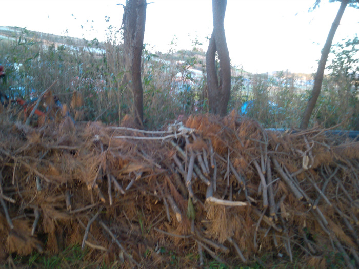 IMG_20121127_165902.jpg