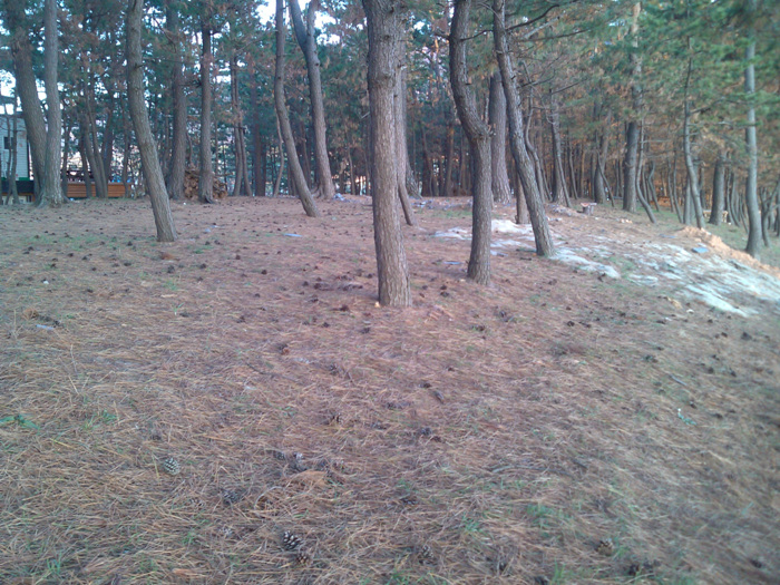 IMG_20121127_165948.jpg