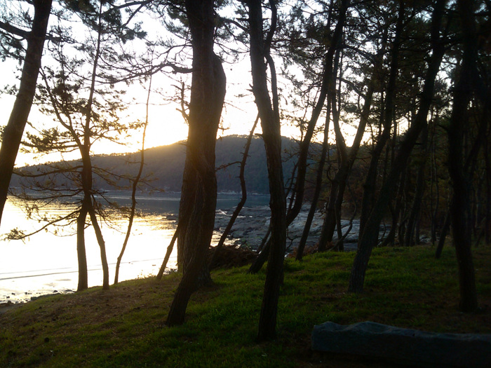 IMG_20121127_165850.jpg