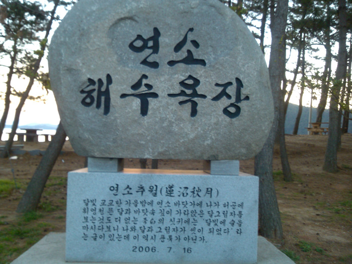 IMG_20121127_171344.jpg