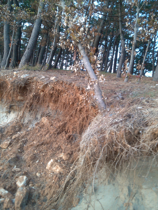 IMG_20121127_170348.jpg