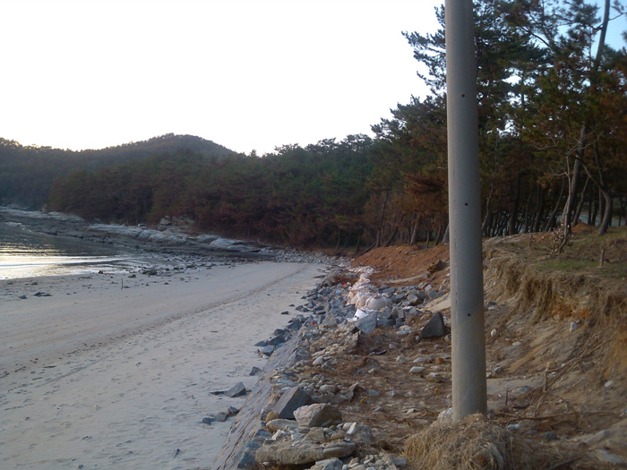 IMG_20121127_170252.jpg