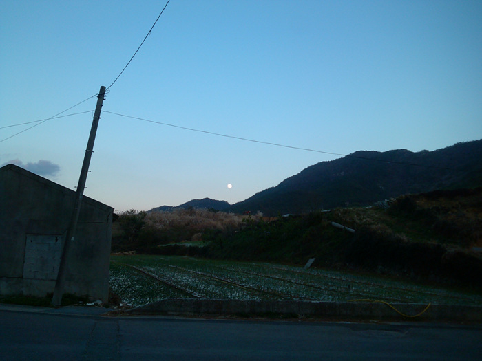IMG_20121127_171420.jpg